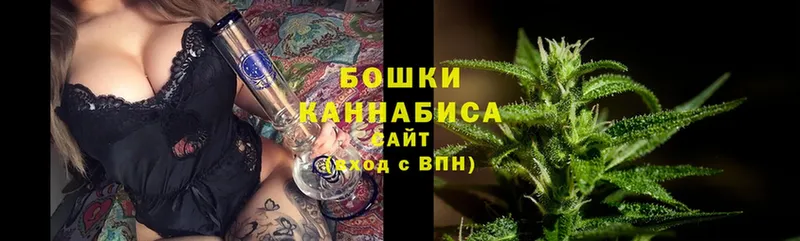 Шишки марихуана SATIVA & INDICA  купить наркотик  kraken как войти  Новозыбков 